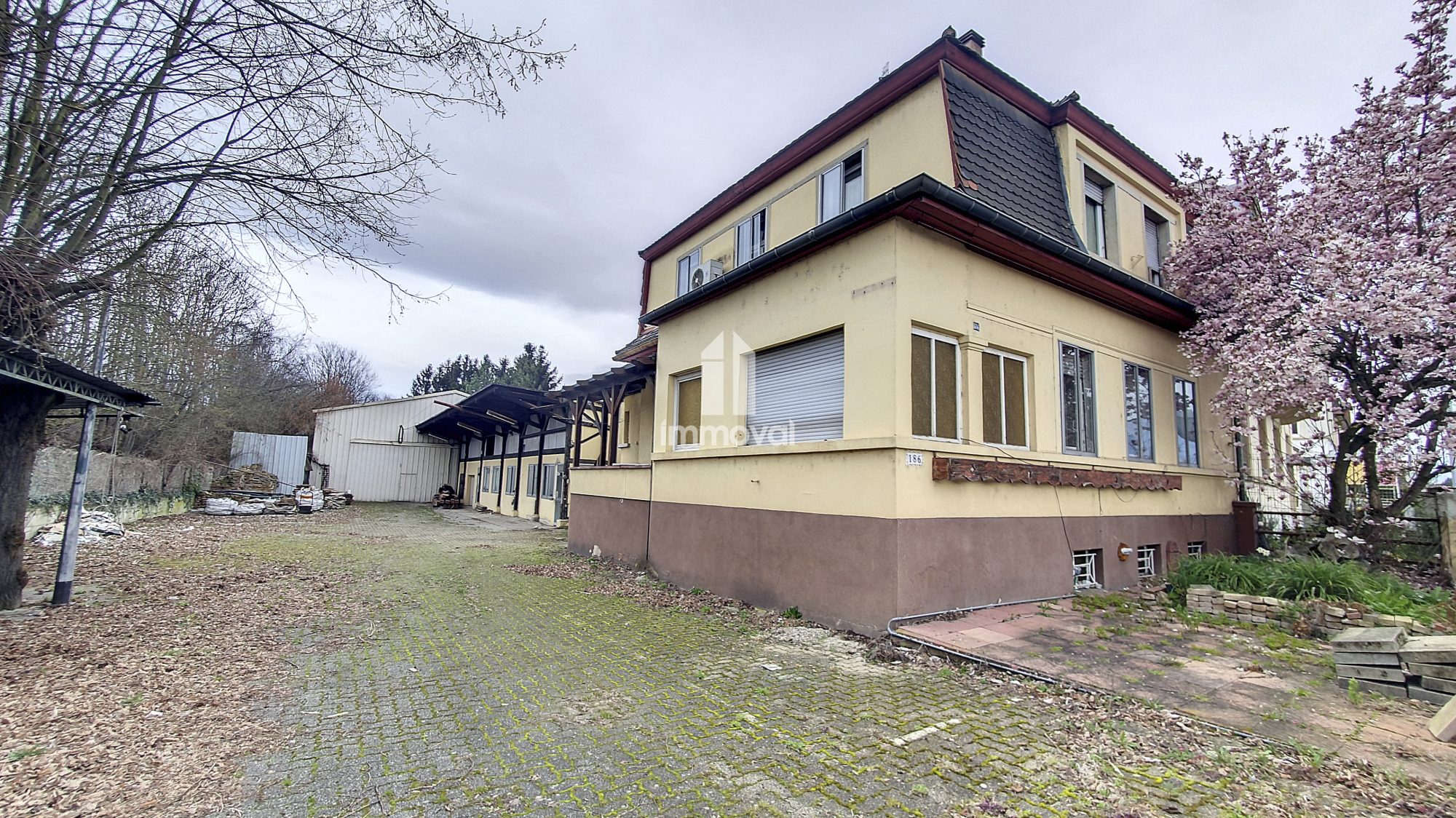 MONTAGNE VERTE ENSEMBLE IMMOBILIER MAISON ET DEPENDANCES SUR TER